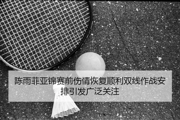 陈雨菲亚锦赛前伤情恢复顺利双线作战安排引发广泛关注