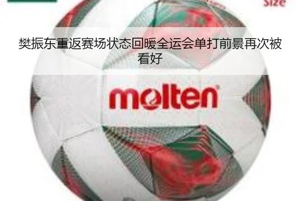 樊振东重返赛场状态回暖全运会单打前景再次被看好
